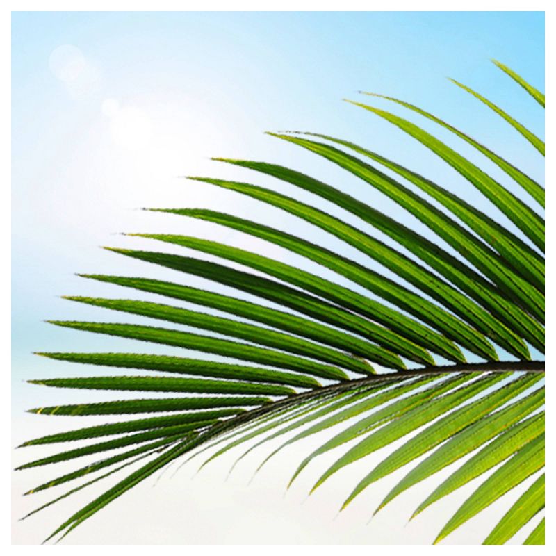 Suave Essentials Ocean Breeze Family-Size Refreshing Conditioner - 30 fl oz