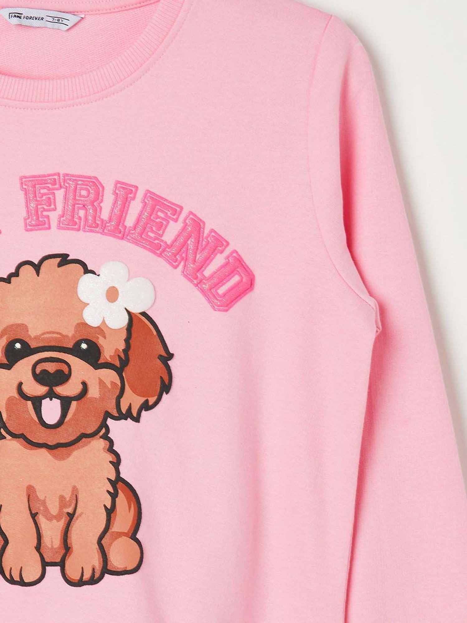 Fame Forever by Lifestyle Girls Pink Cotton Printed Full Sleeves Sweatshirt