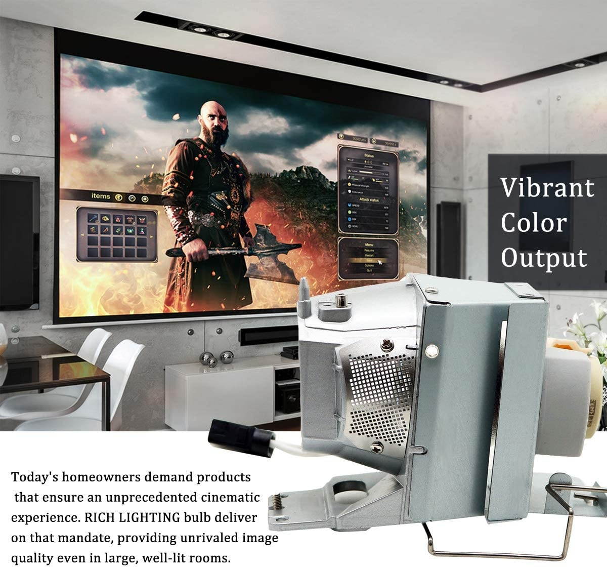 RICH LIGHTING BL-FP210B/ BL-FP210A Projector Lamp Bulb for Optoma HD200D HD28DSE DH1012 X351 W351 EH341 UHD350X DH1012 EH210 EH341 HD26LV HDF572 Replacement Bulb with Housing