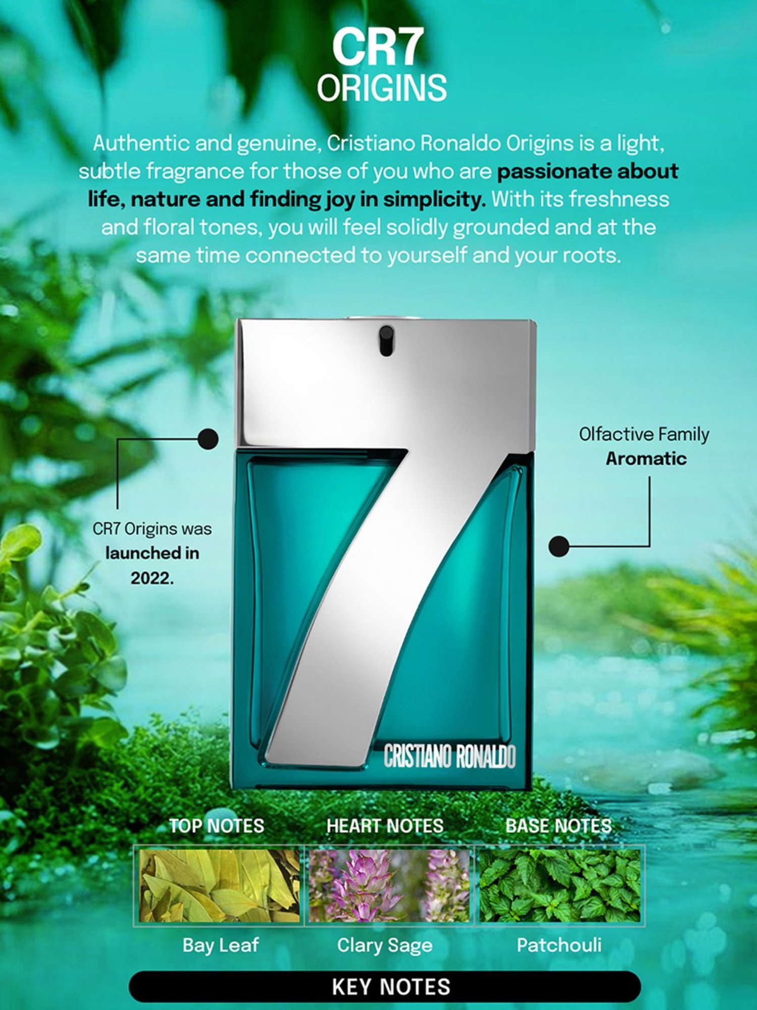 Jean Paul Gaultier Divine Eau de Parfum for Women - 100 ml