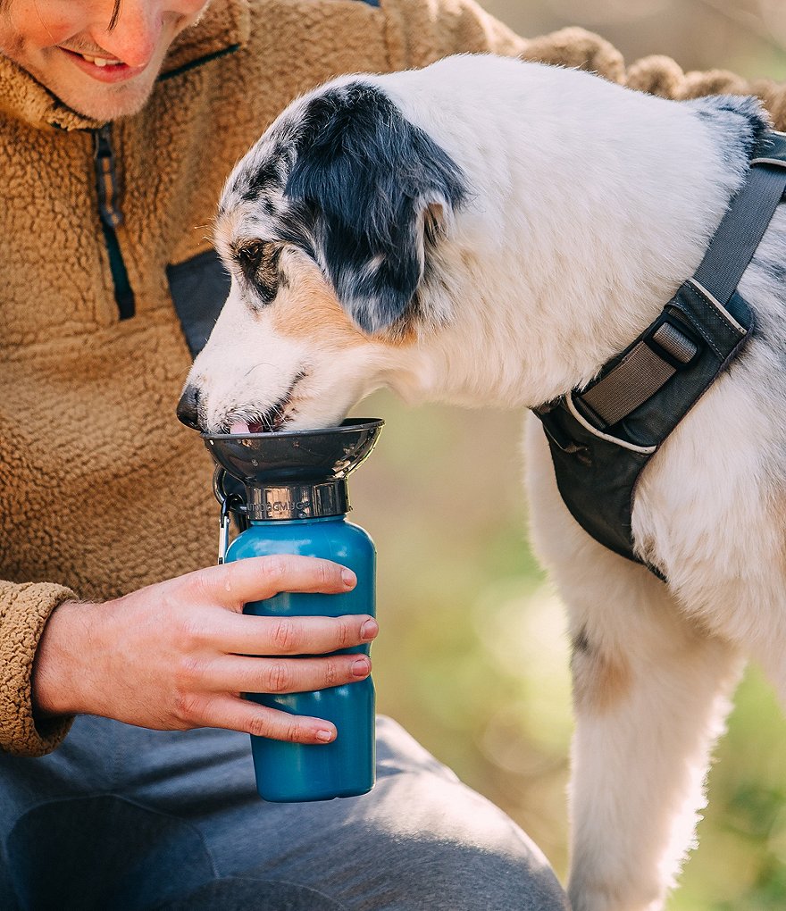 Hype HIGHWAVE AutoDogMug&reg; Leak-Tight