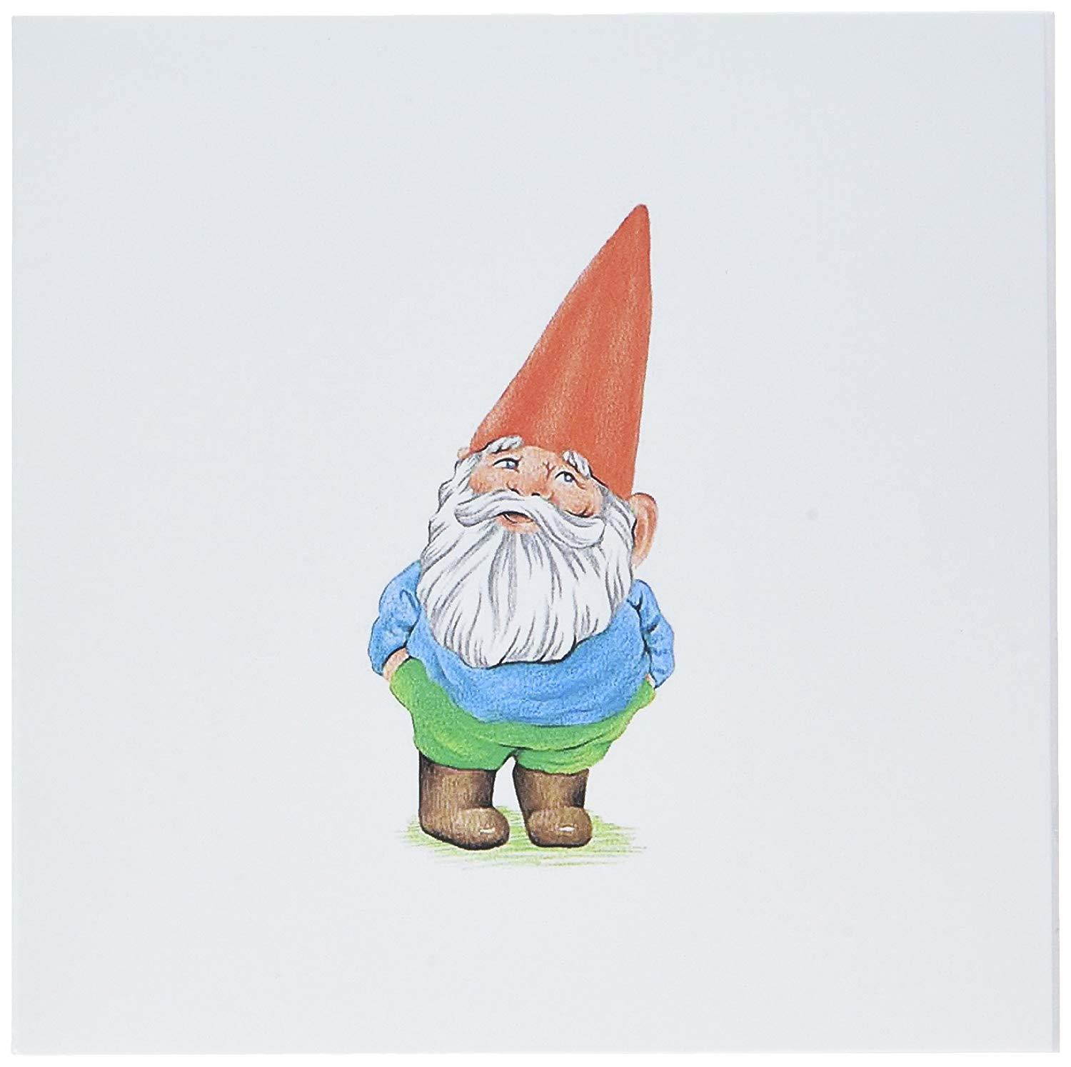 3dRose Set of 12 Greeting Cards, Garden Gnome Cartoon (gc_123988_2)