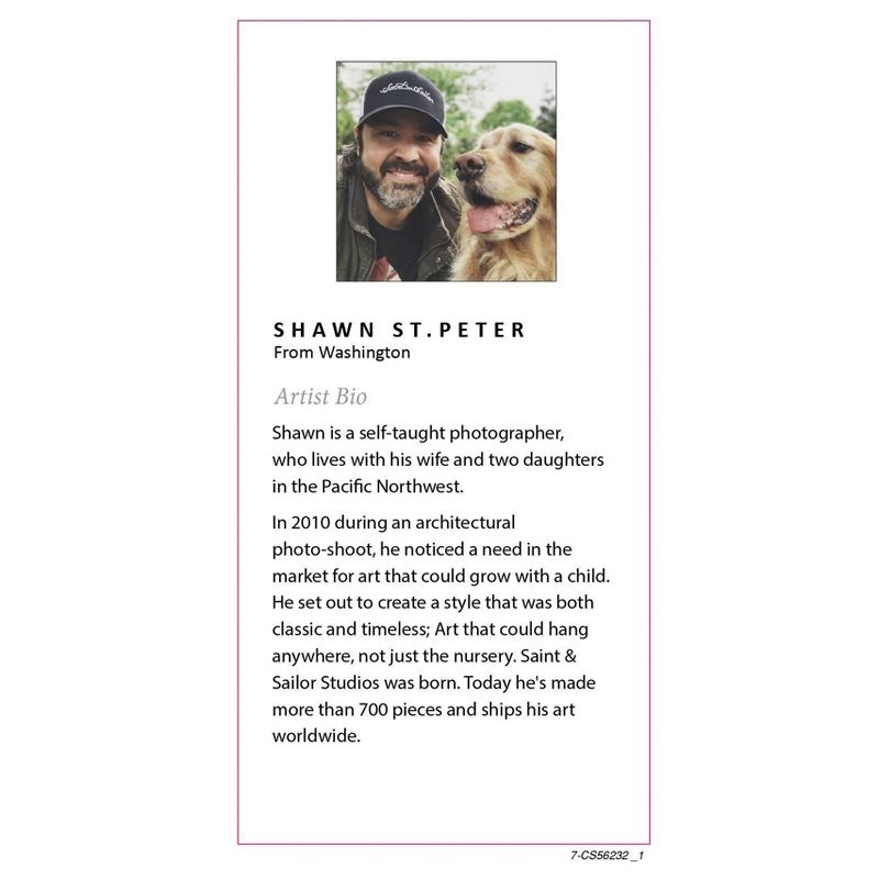 18" x 24" Sylvie Ball In The Dugout Framed Canvas by Shawn St. Peter Gray - DesignOvation