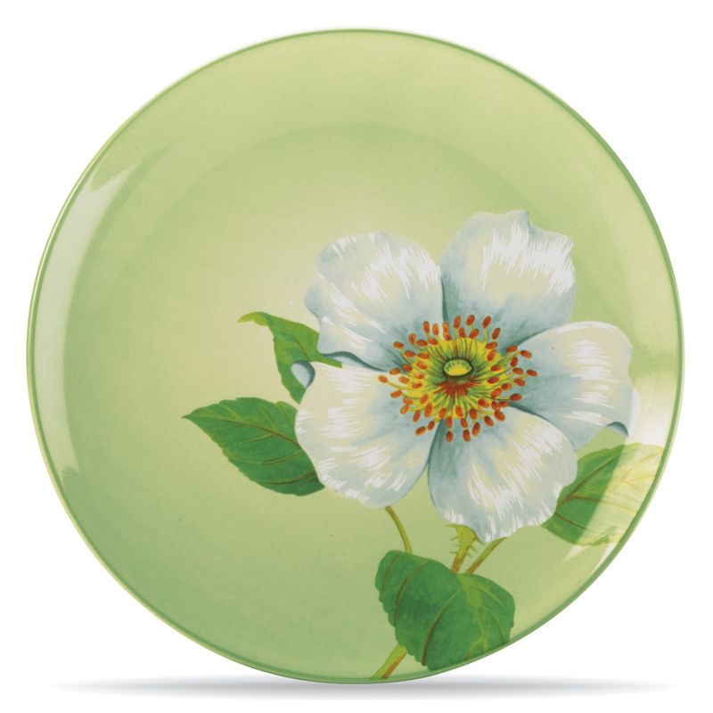 Noritake Colorwave Apple Climbing Rose Floral Accent Plate