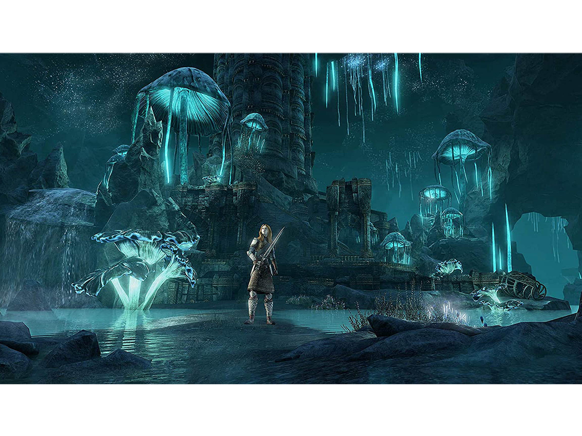 The Elder Scrolls Online: Greymoor Physical Collector's Edition Upgrade - PC