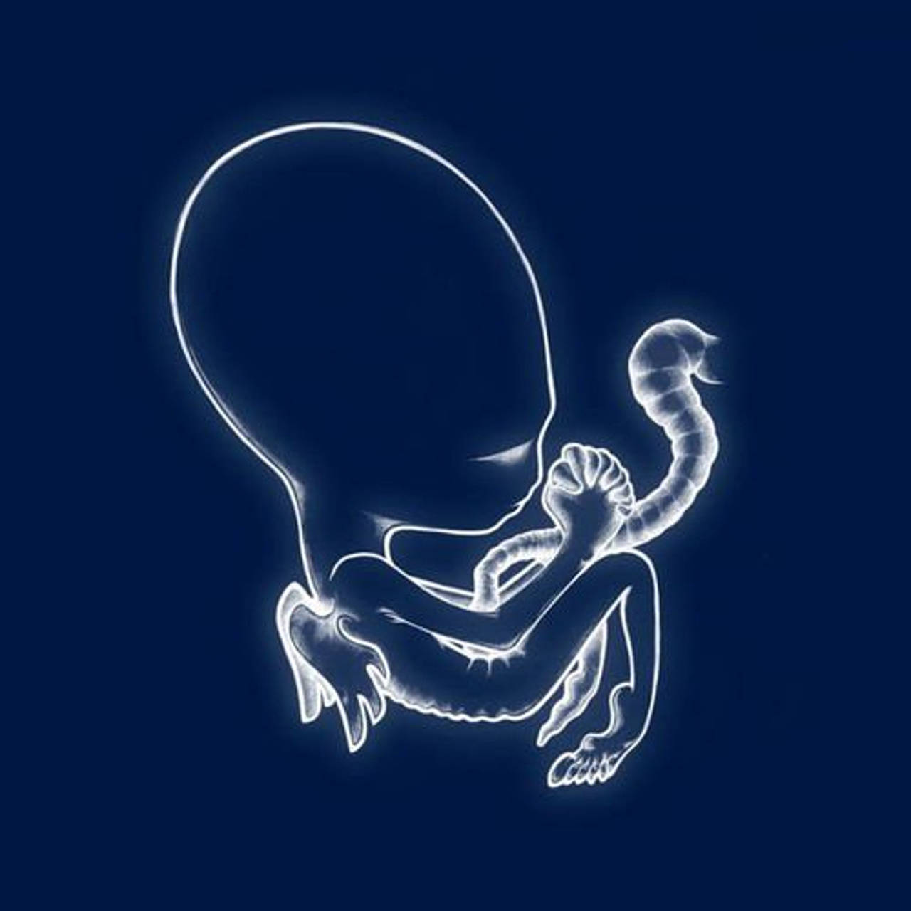 Sigur Ros Agaetis Byrjun 2LP (Vinyl)