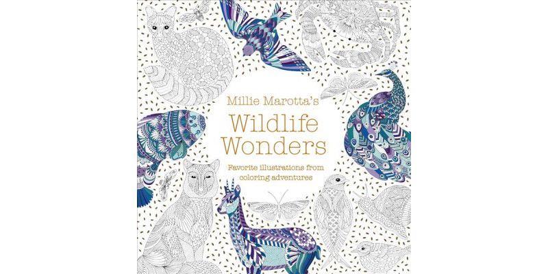 Millie Marotta's Wildlife Wonders : Favorite Illustrations from Coloring Adventures -  (Paperback)