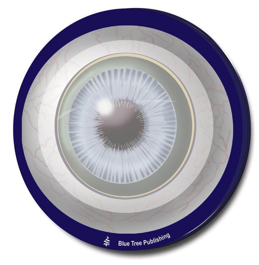 Eye Sticky Notes, 2 Pack-100 Sheets Per Pack