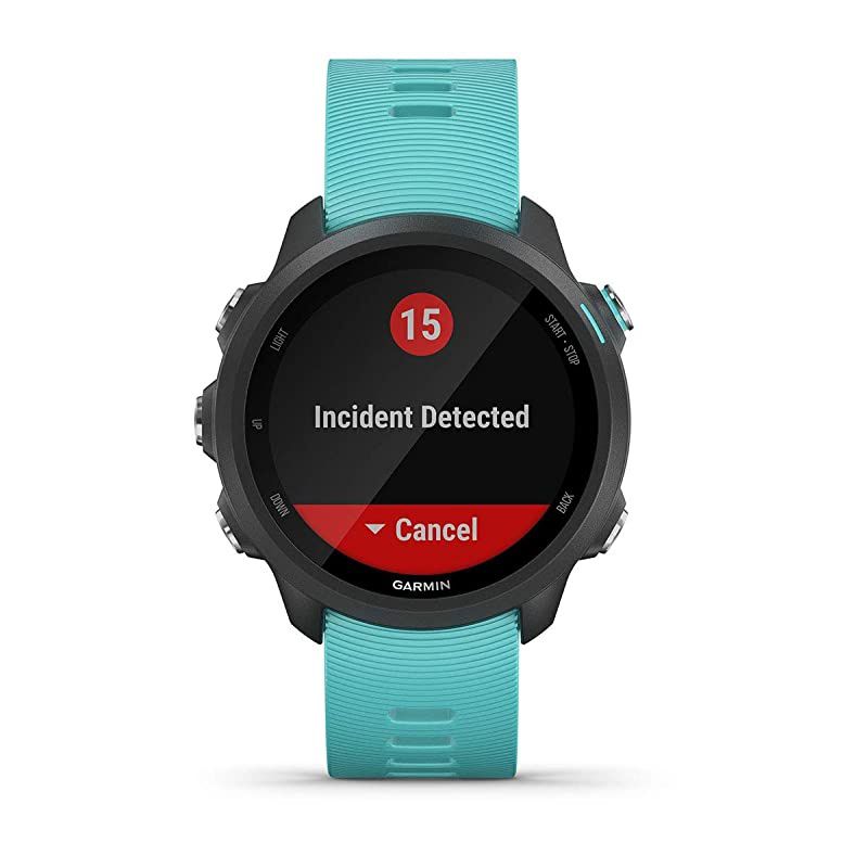 Garmin Forerunner 245 (Berry) Power Bundle | +HD Screen Protectors &  Portable Charger | Advanced Analytics, Heart Rate | Running GPS Watch | 010-02120-01