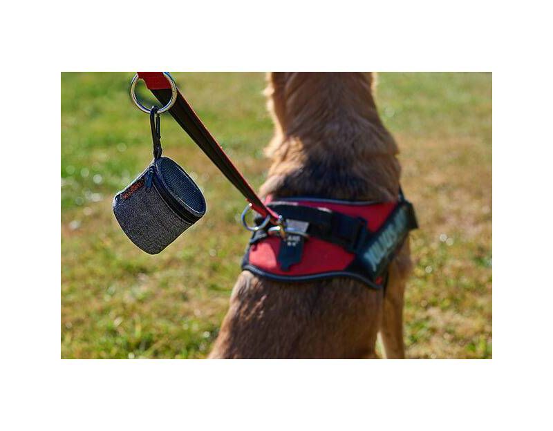 PetSafe Stay and Play Compact Adjustable Wireless Fence