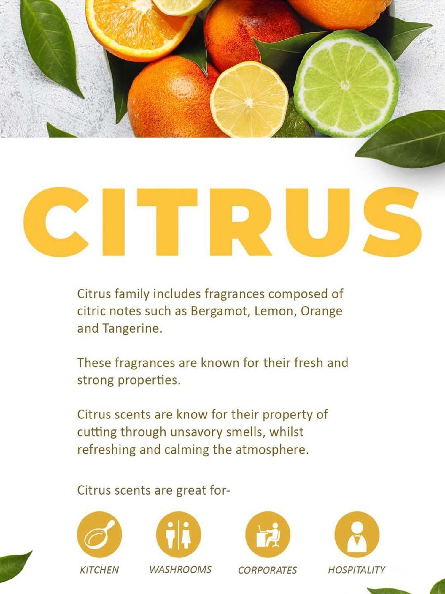 IRIS Red Amber Rose Vaporizer Oil - 50 ml