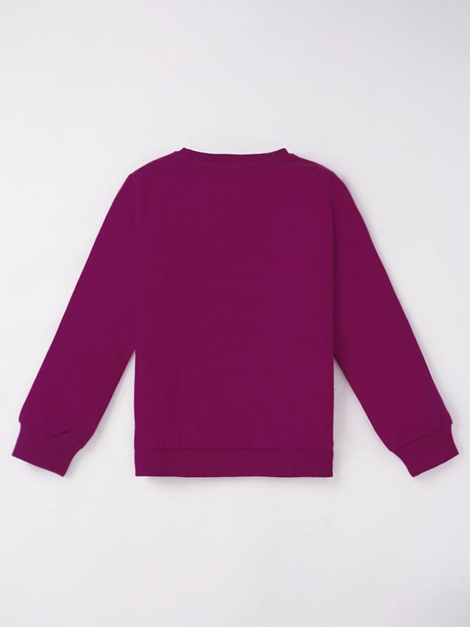 KIDS ONLY Blue Cotton Embroidered Full Sleeves Sweatshirt