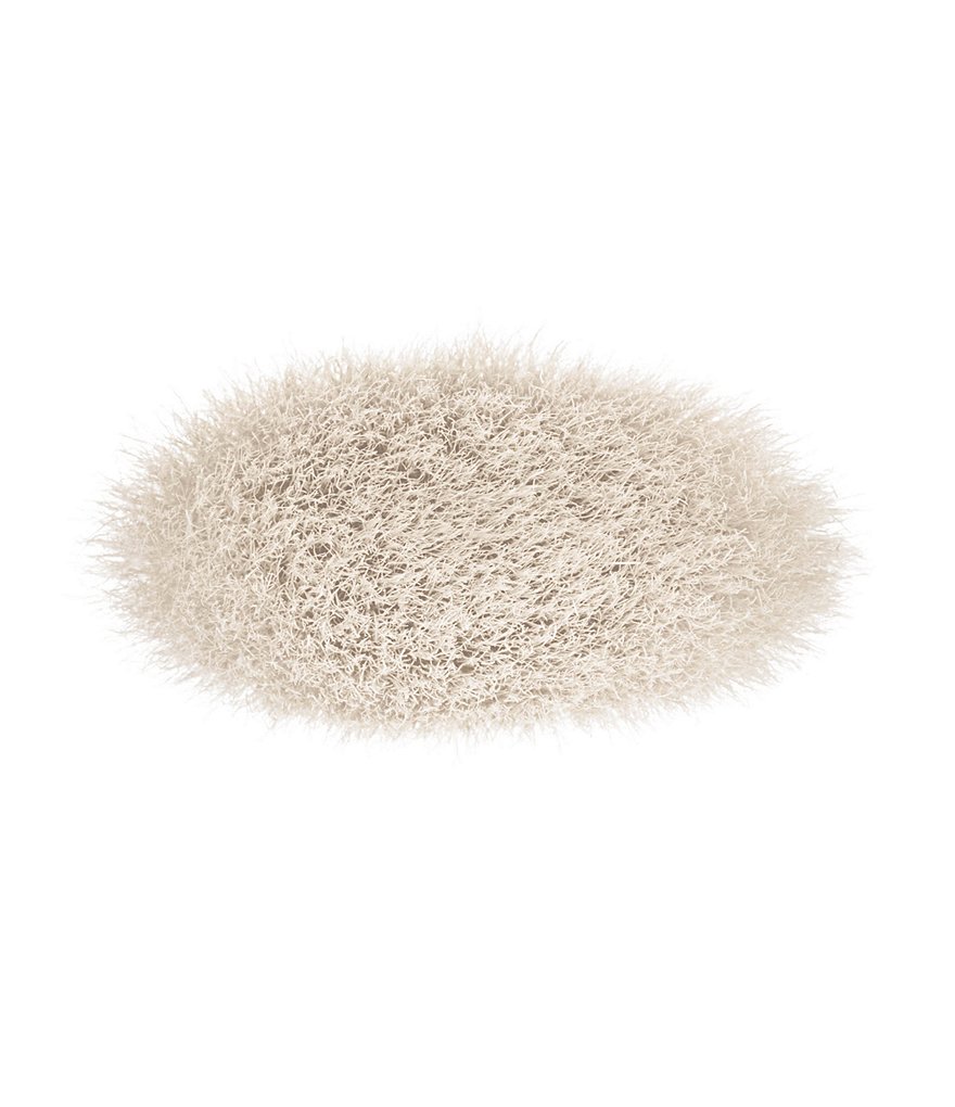 Artis Elite 10-Piece Brush Set