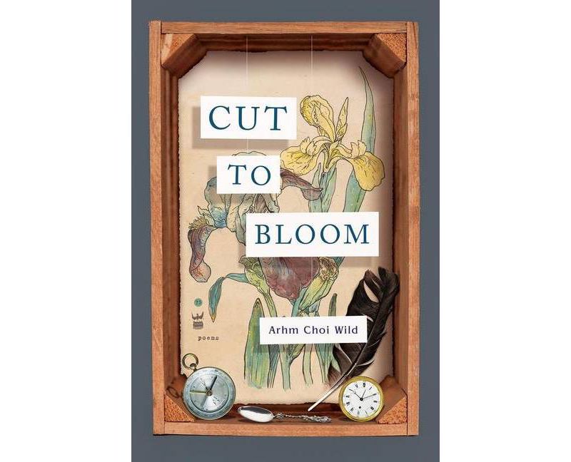 Cut to Bloom - by  Arhm Choi Wild (Paperback)