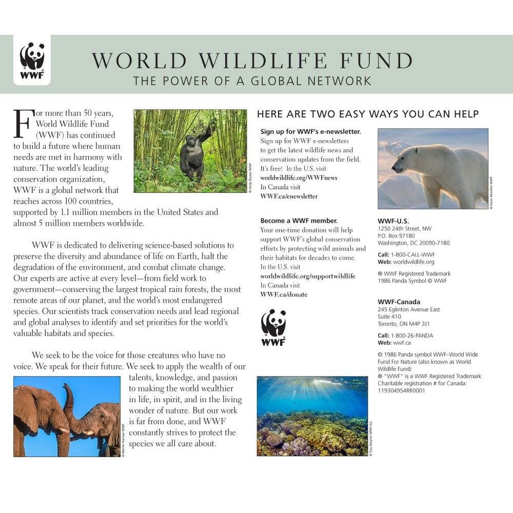 Calendar Ink,  Frogs WWF Wall Calendar 2021