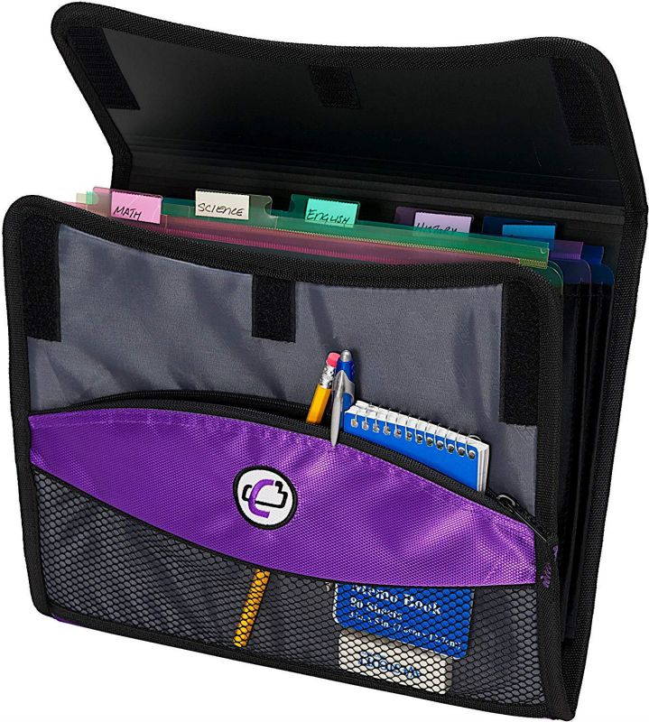 Case-it Sidekick 2-Inch O-Ring Zipper Binder with Removable Tab File, Purple, D-901-PUR