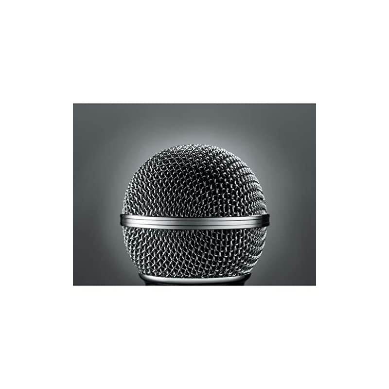 565SDLC Microphone without Cable Silent Magnetic Reed OnOff Switch with Lockon Option