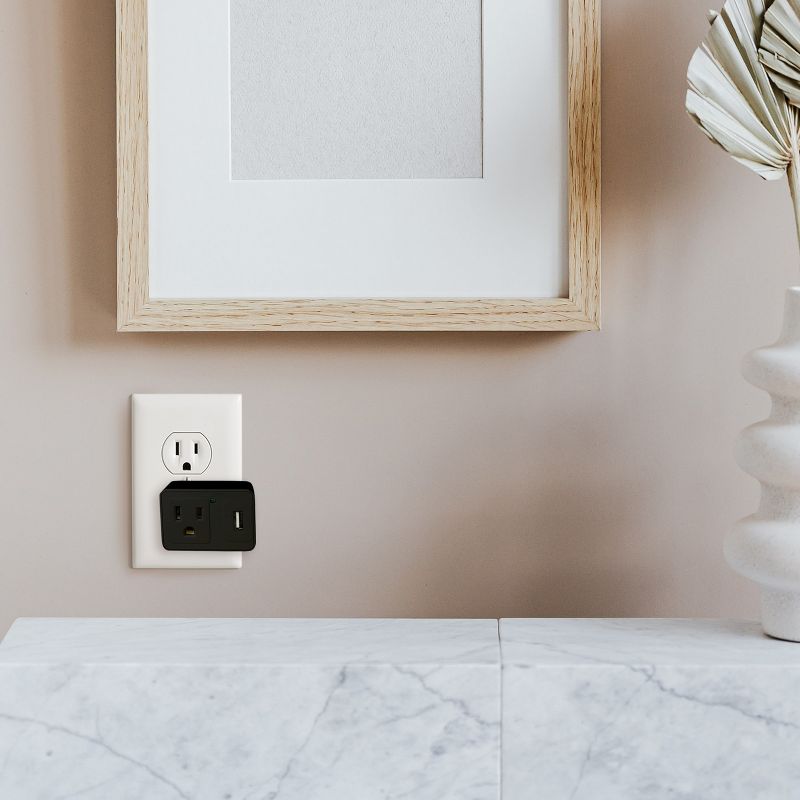 Craig Combo Wall Charger with AC & USB Ports in Black