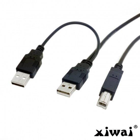 Xiwai Dual USB 2.0 Male to Standard B Male Y Cable 80cm for Printer & Scanner & External Hard Disk Drive