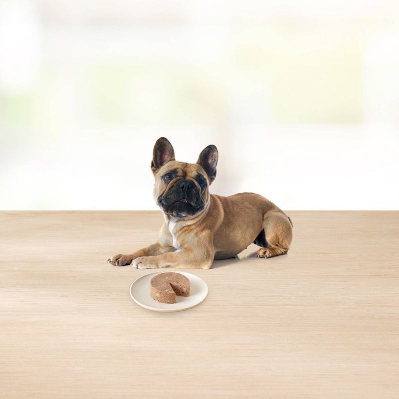 Blue Buffalo True Solutions Best Life Wet Dog Food - 12.5oz