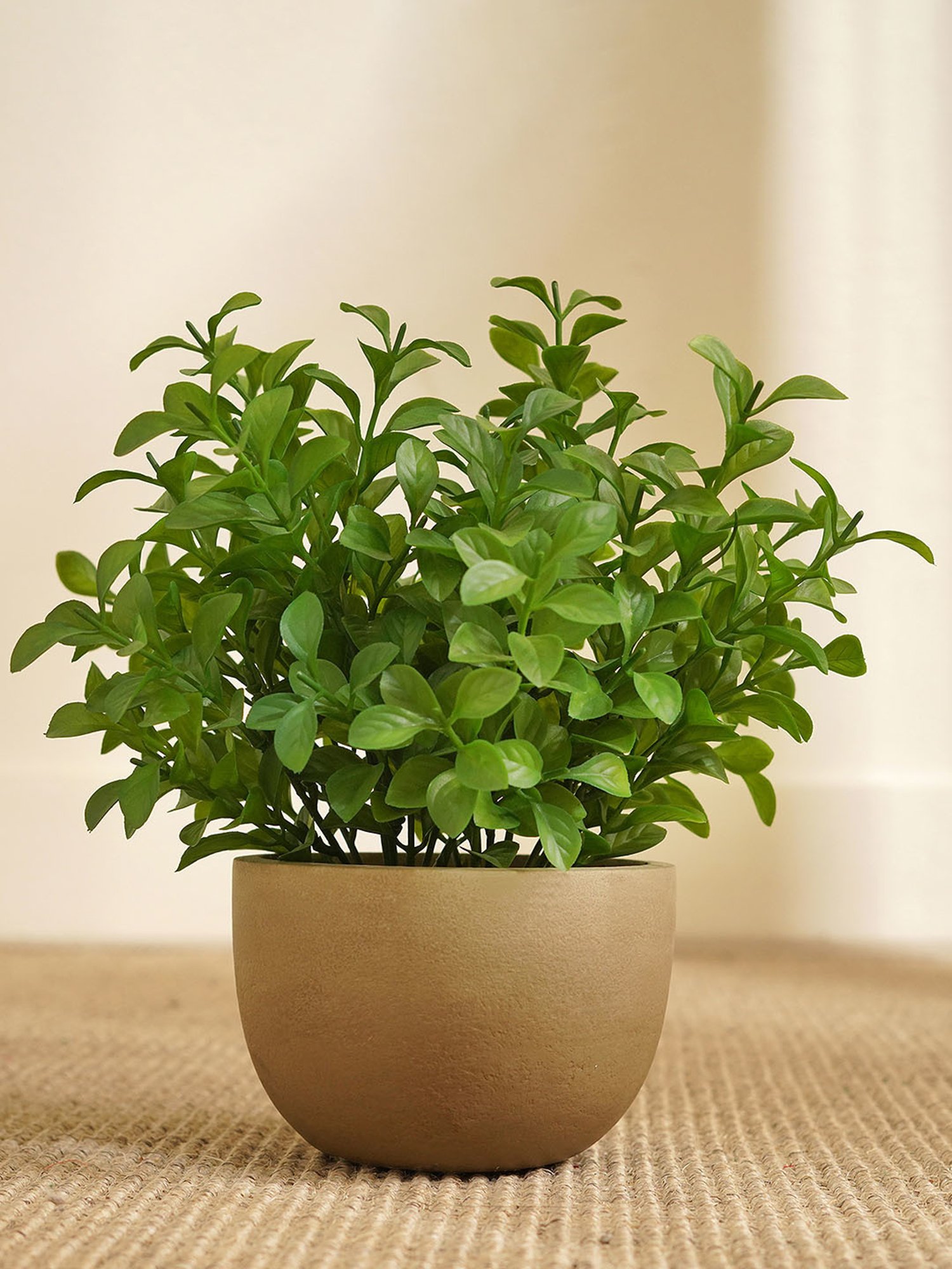 Pure Home and Living Green Plastic Potted Plants