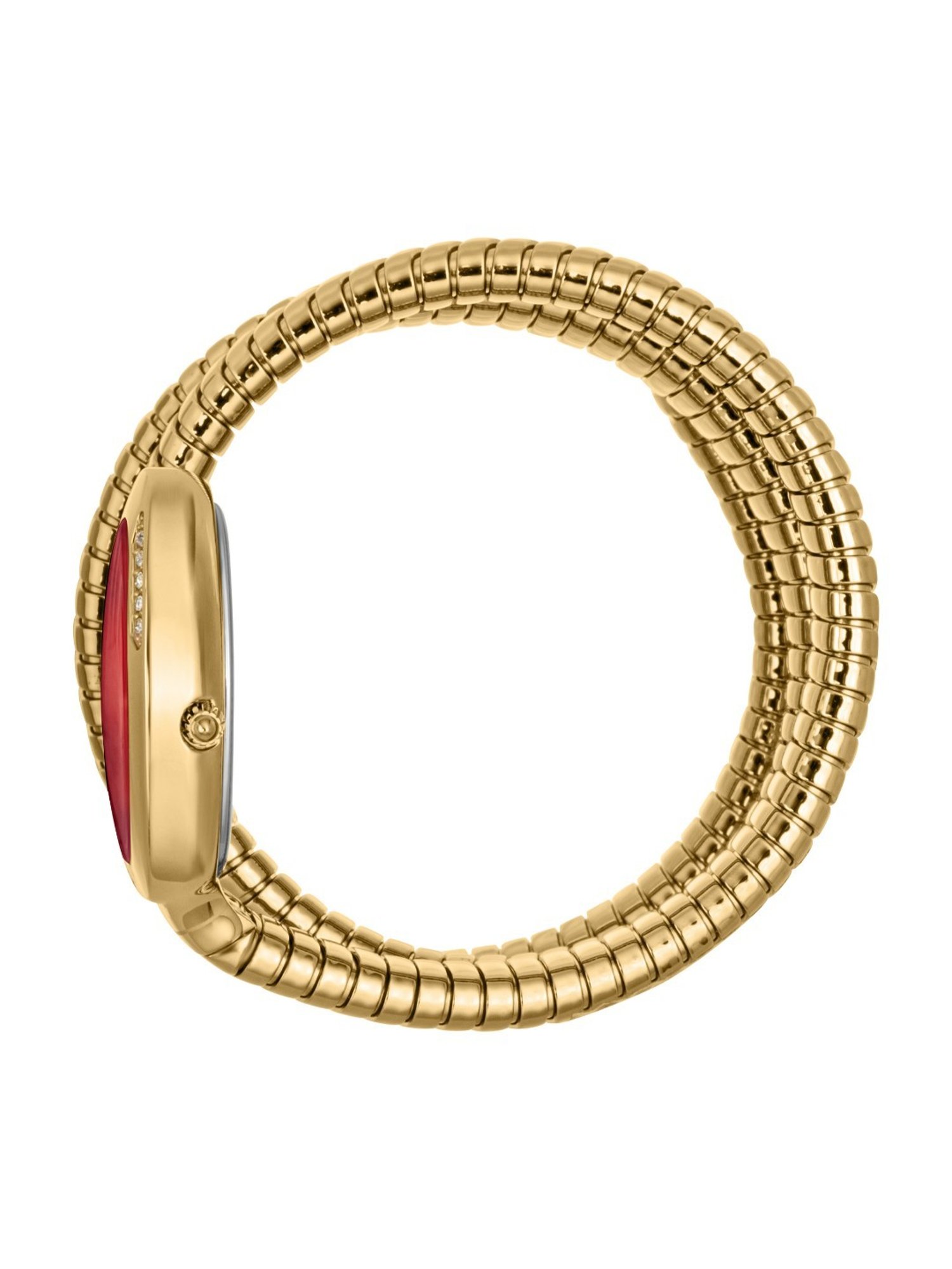 JUST CAVALLI JC1L228M0045 Glam Evo 5 Analog Watch for Women