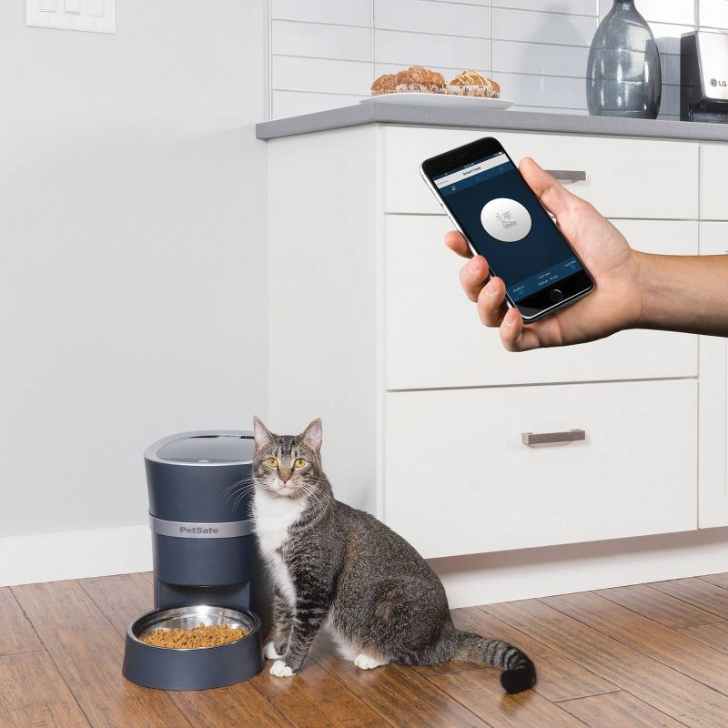 Amici Pet Marble Paw Glass Food Canister, 72oz