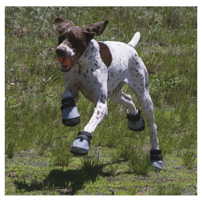 Royal Animals Dog Raincoat - Yellow - S