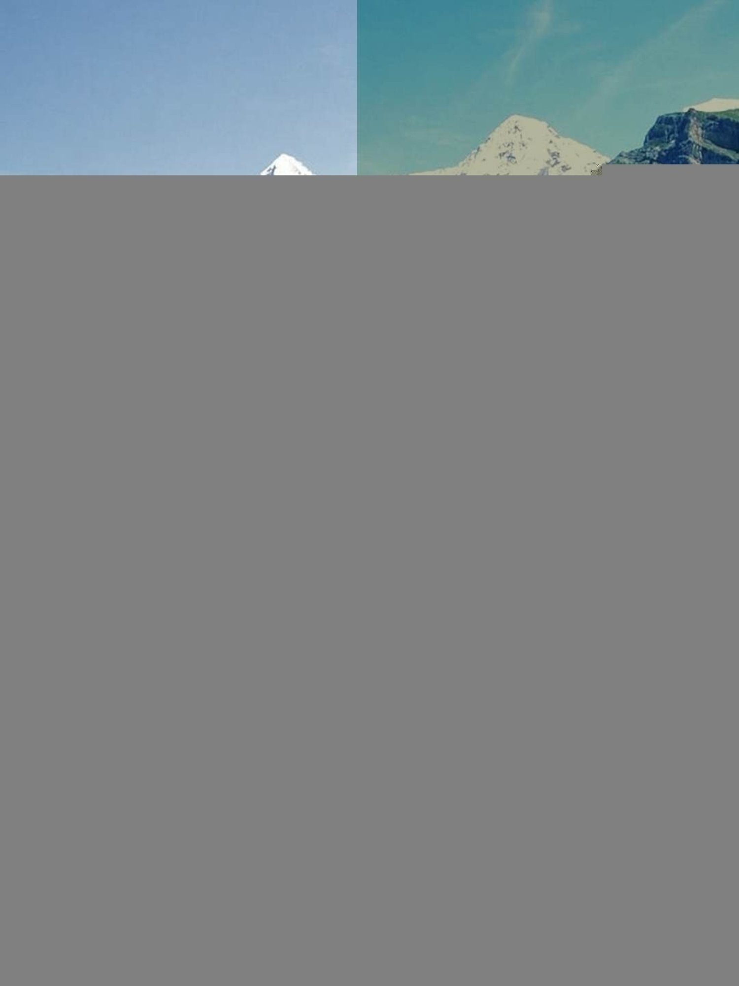 Vincent Chase by Lenskart LA S13163 Green Polarized Wayfarer