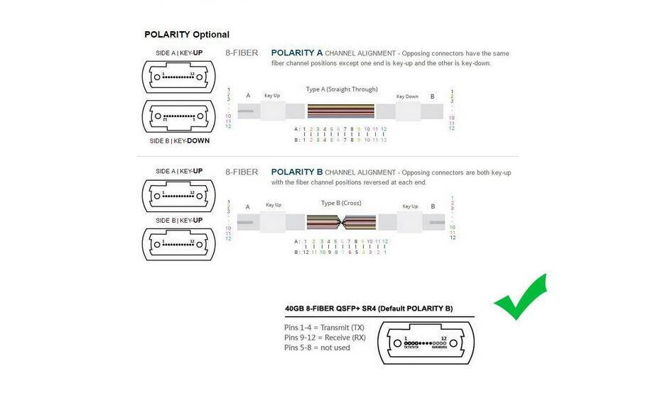 MPO-MPO Patch Cord, OM3 Multimode Fiber, 8-core Fiber for QSFP+Transceivers Application, 3-meter(10ft)