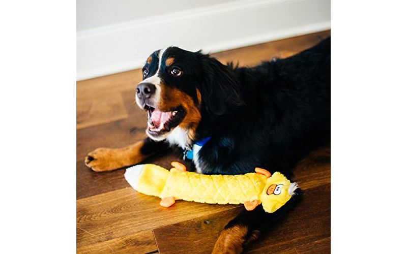 ZippyPaws - Jigglerz Tough No Stuffing Squeaky Plush Dog Toy with Crinkle Head and Tail - Duck