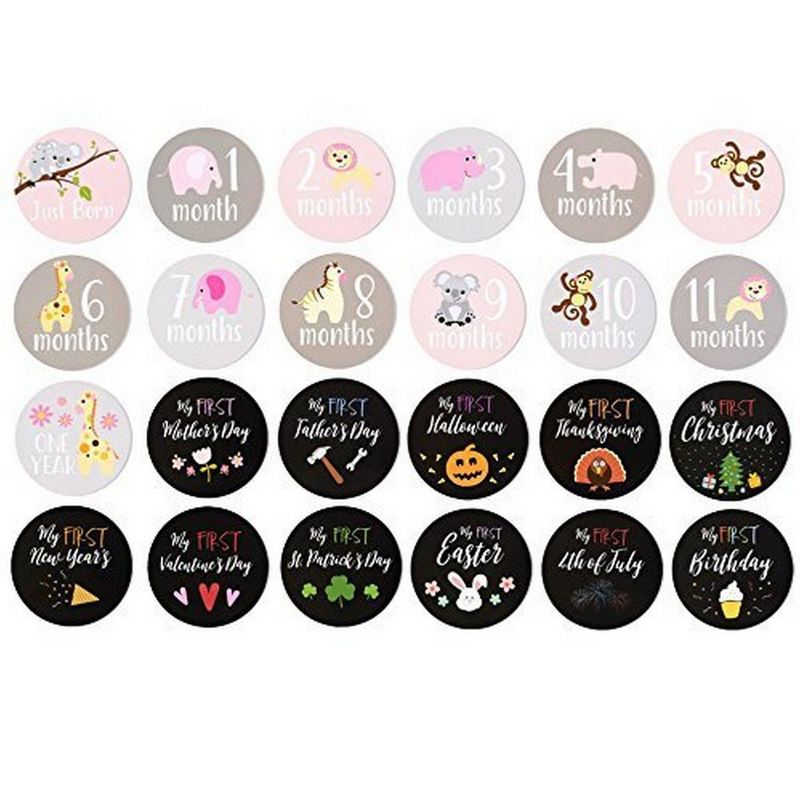 Best Paper Greetings Milestones of Baby's First Year Stickers for Girls Scrapbook (24-Count)
