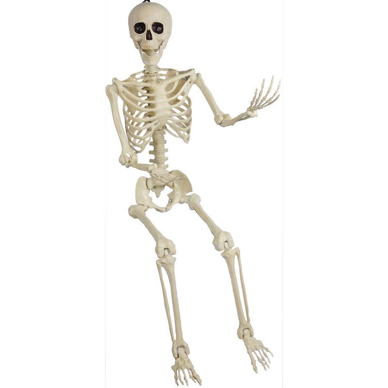 5' Skeleton Pose & Hold Halloween Decorative Holiday Mannequin