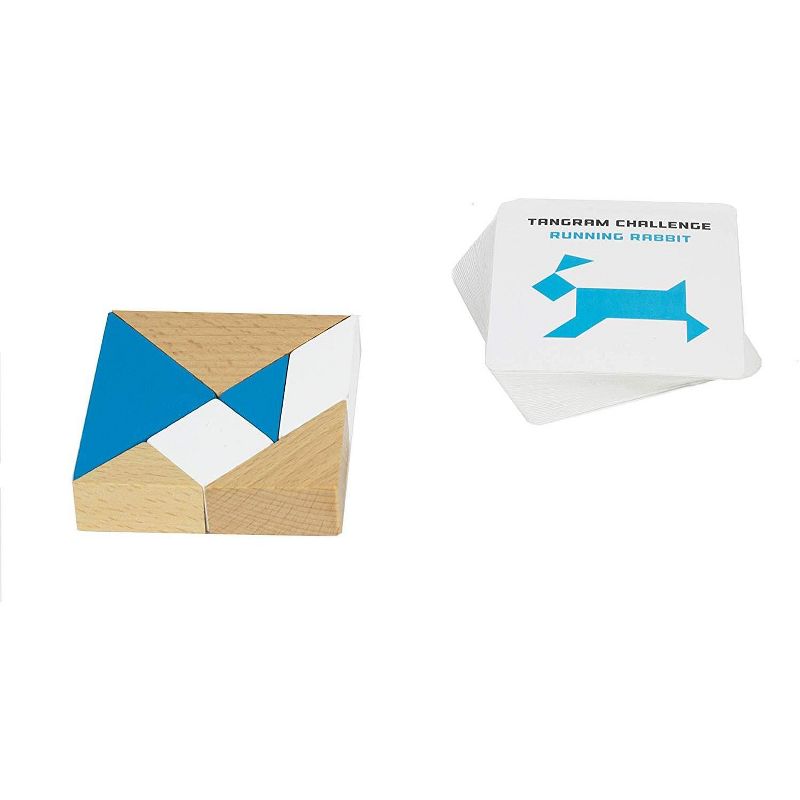 Professor Puzzle S.T.E.M. Engineering Tangram & Puzzle Cards Educational Games
