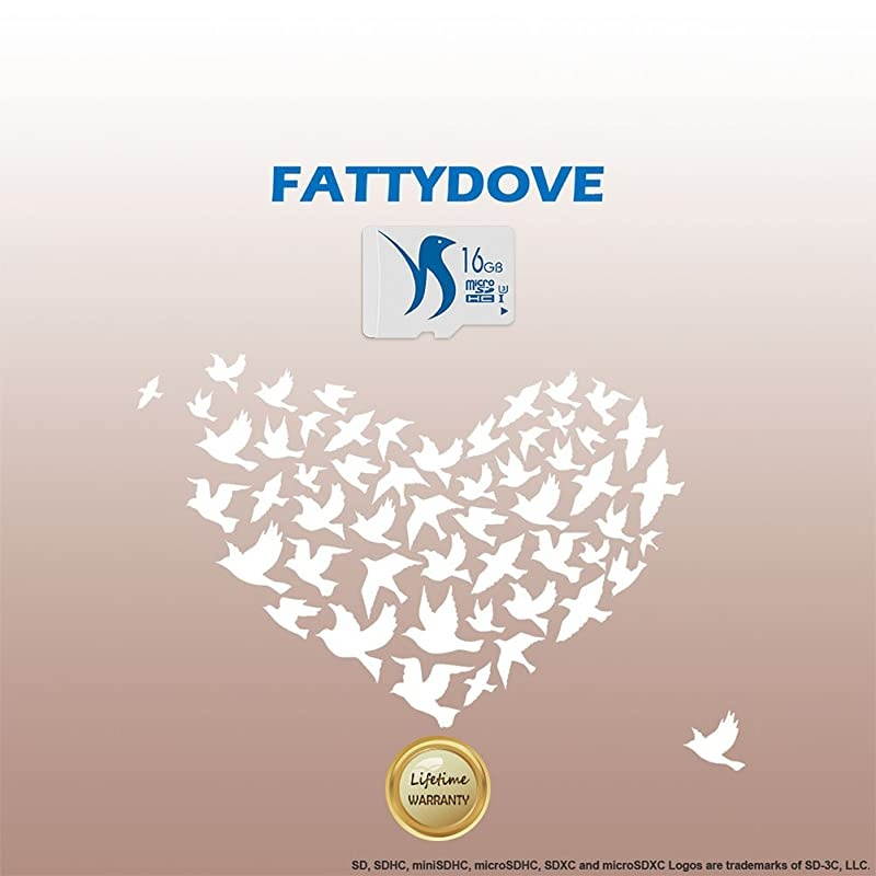 Micro SD Card 32GB 2-Pack High Speed Memory Card Class 10 UHS-3 with SD Adpter Full HD Video Nintendo Gopro Camera Canon Nikon DJI Drone(32GB U3 2 Pack)