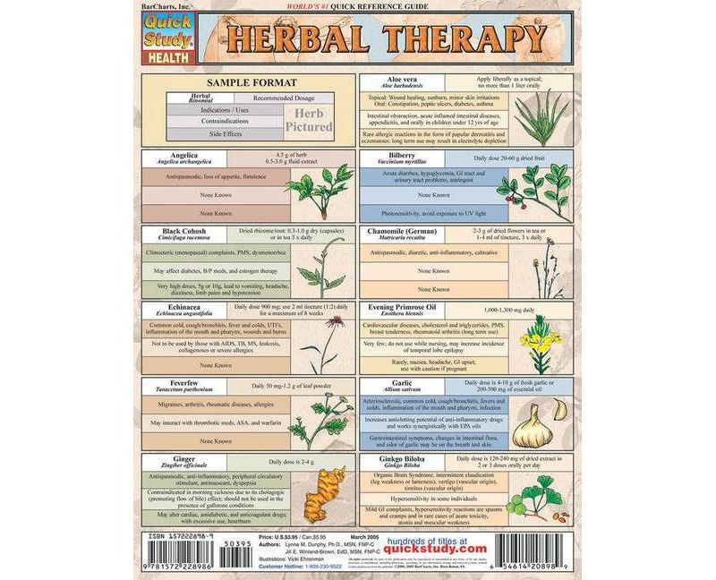 Circuit Analysis - (Quickstudy: Academic) by  Barcharts Inc (Poster)