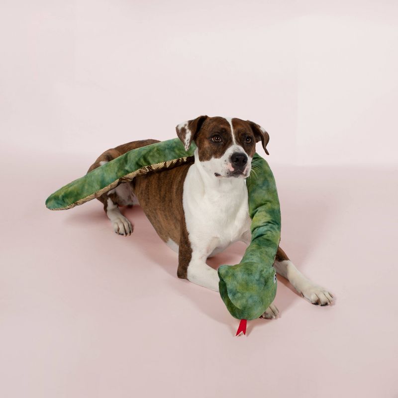 PetShop by Fringe Studio Slither Living Dog Toy - L