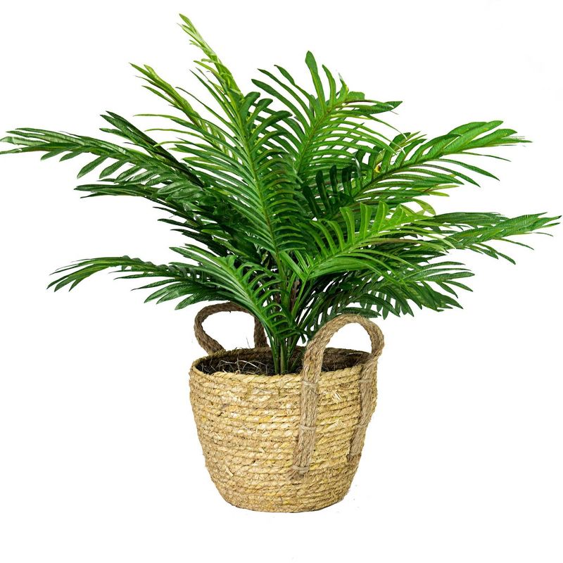 24" x 20" Artificial Phoenix Palm Plant in Boho Basket - LCG Florals