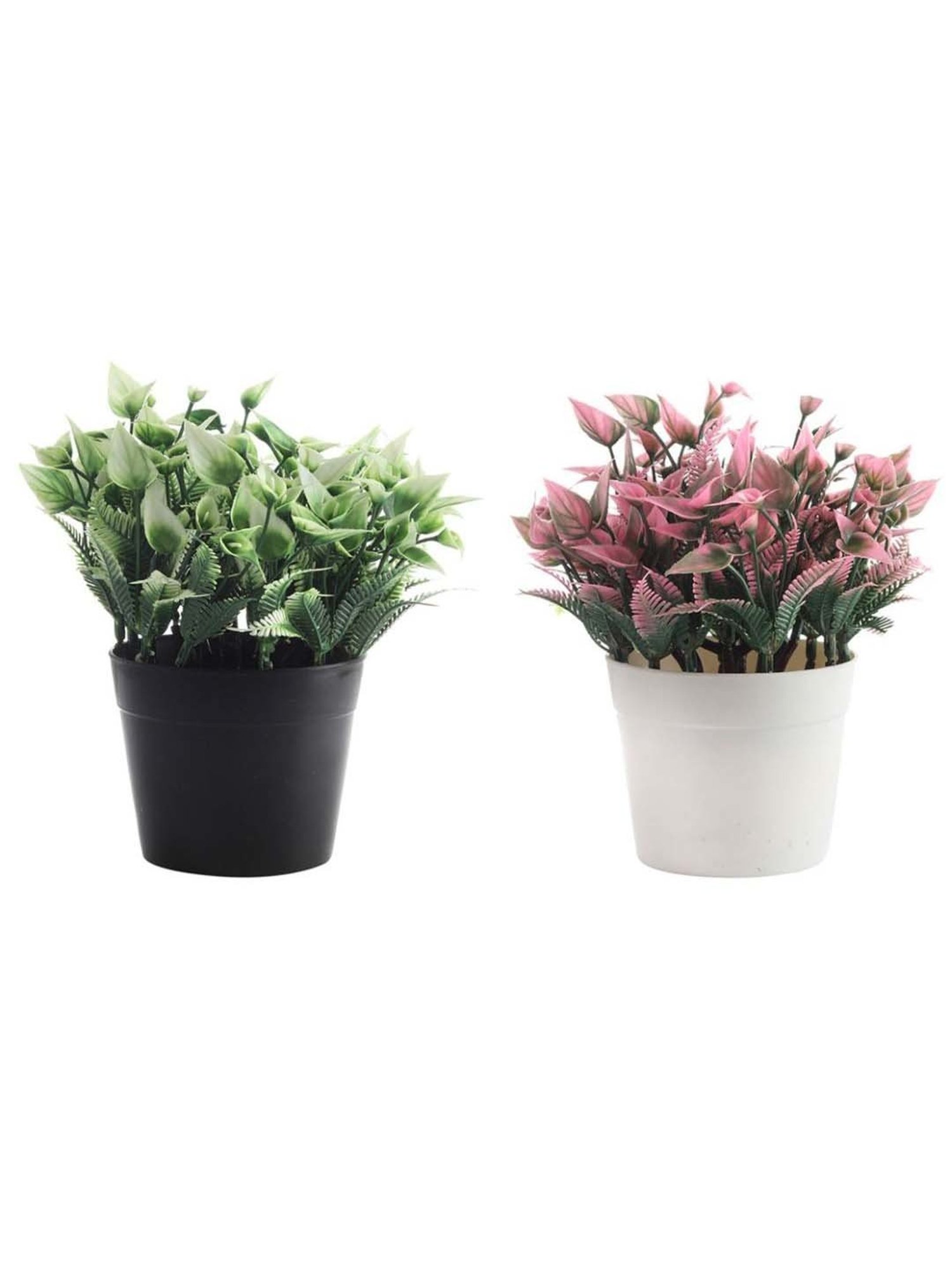 Foliyaj Multicolor Plastic Artificial Plant - Set of 2