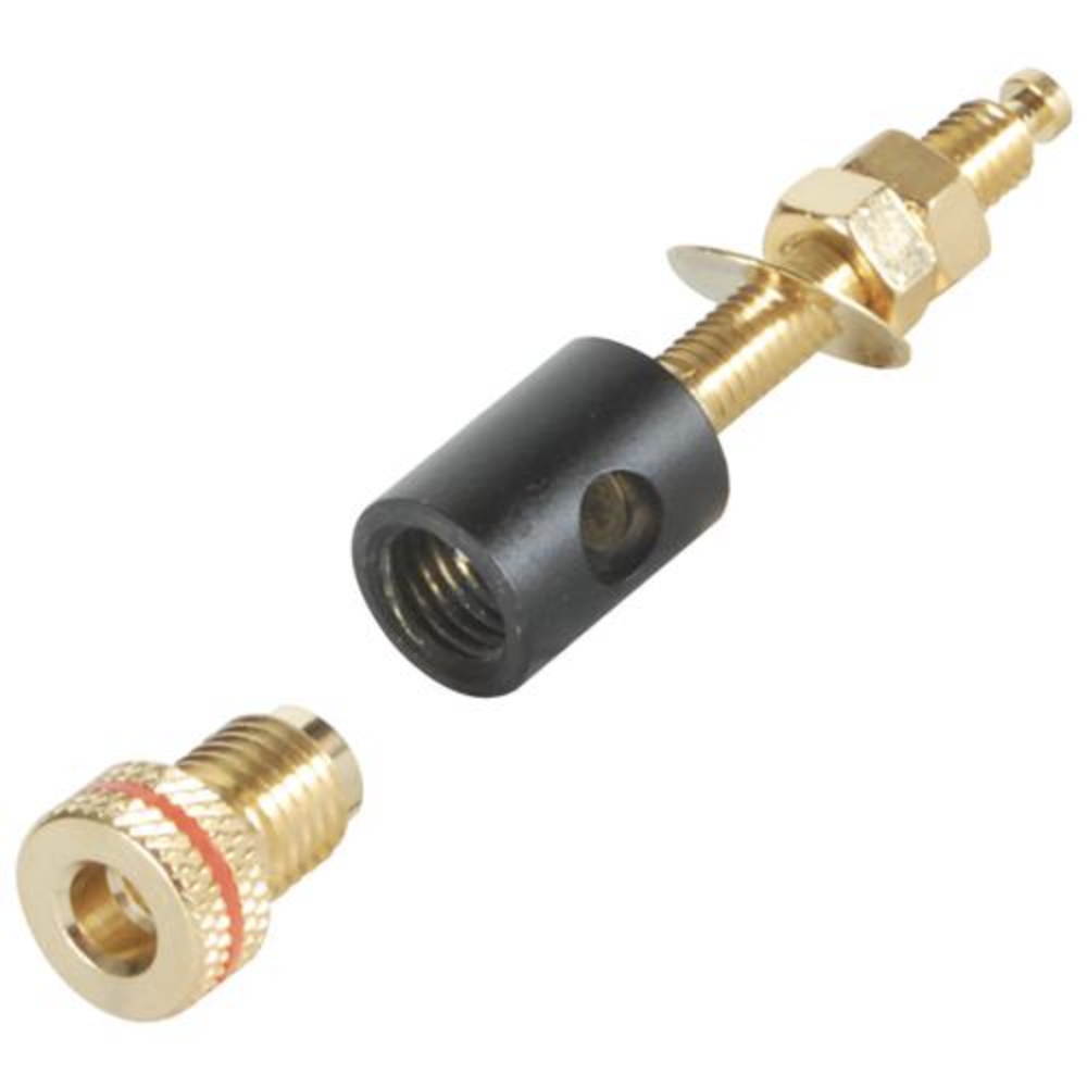 Binding Post Banana Jack with 1" Thread 2 Pair Black Gold by Parts Express