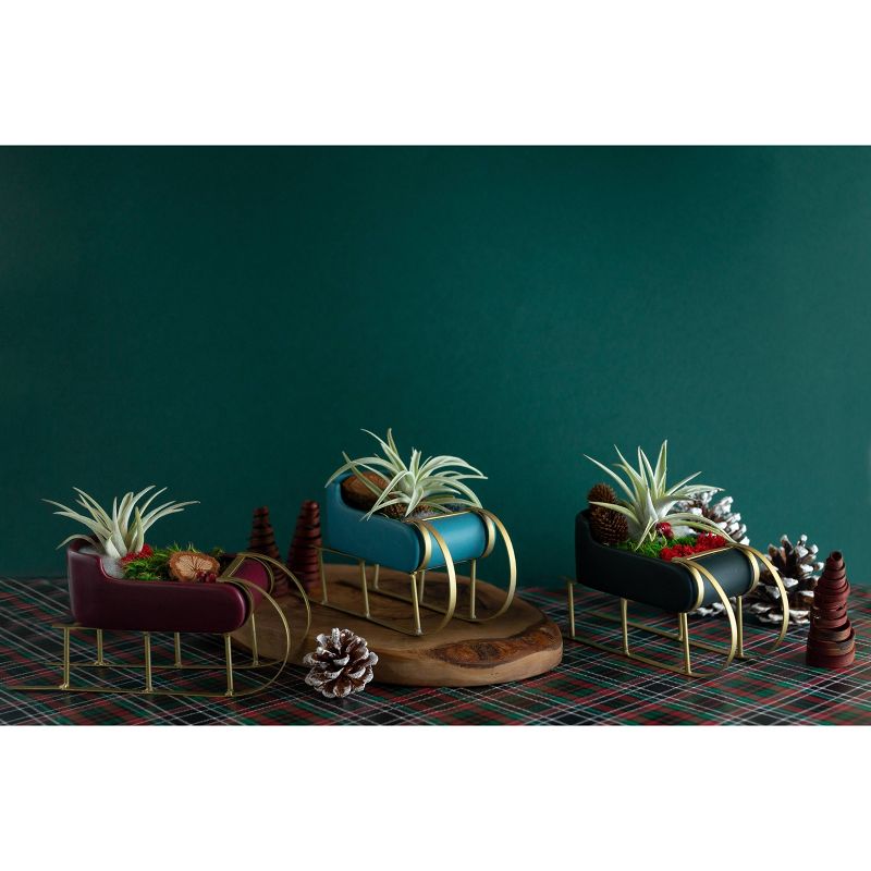 LiveTrends Santa's Sleigh - 3pk