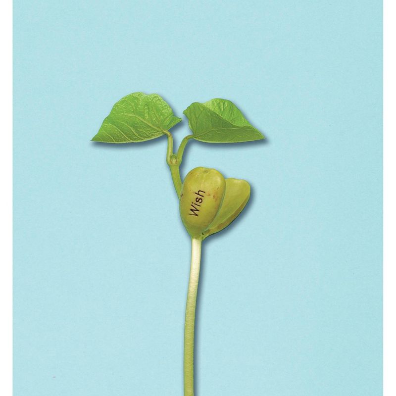 Creativity for Kids Magic Bean Garden Activity Kit