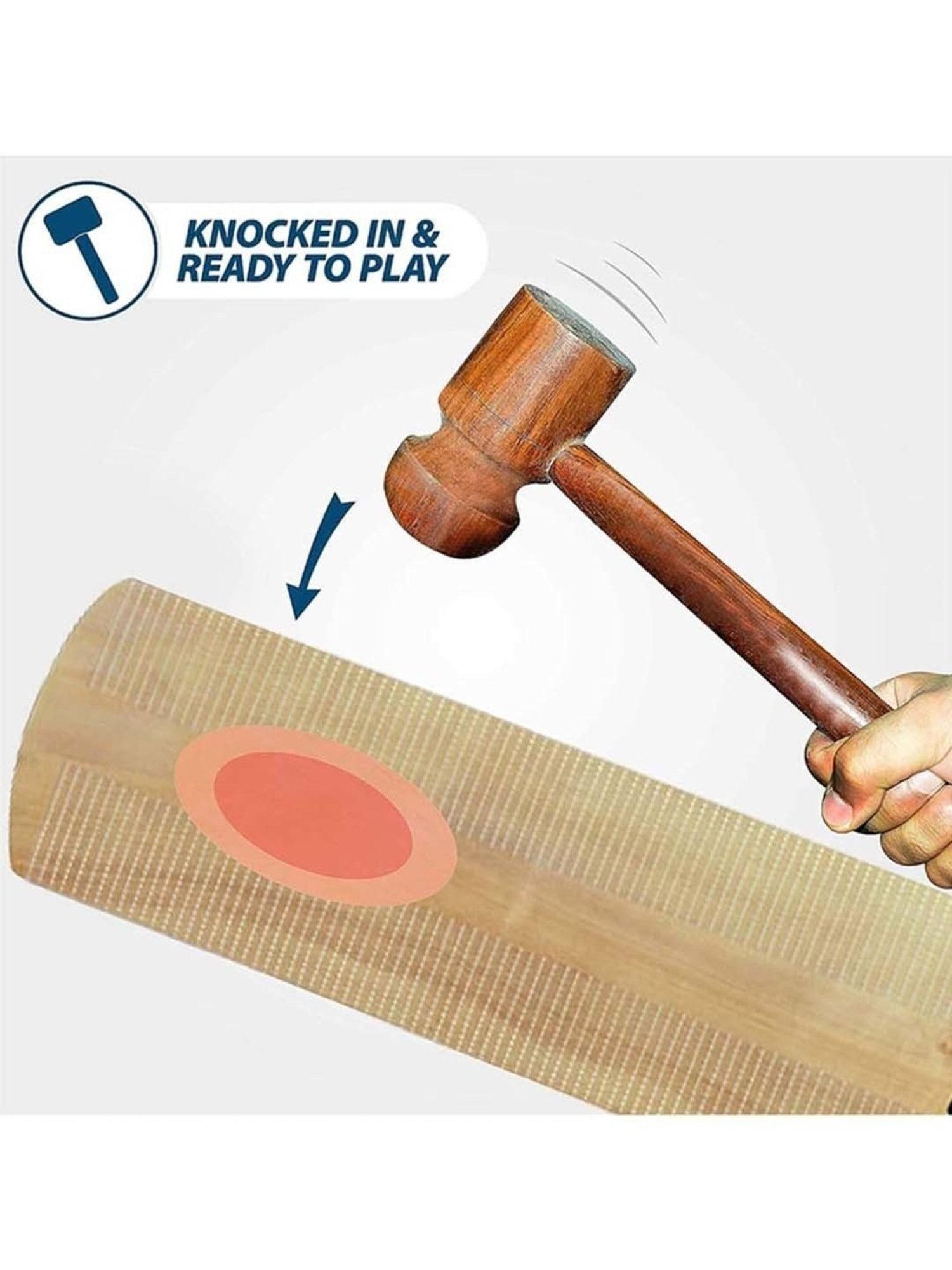 DSC Scorer Kashmir Willow Cricket Bat Short Handle Size - Mens