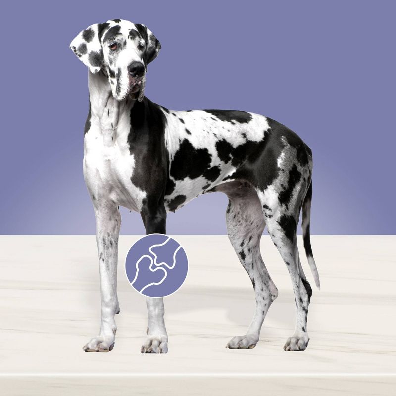 Blue Buffalo True Solutions Best Life Wet Dog Food - 12.5oz