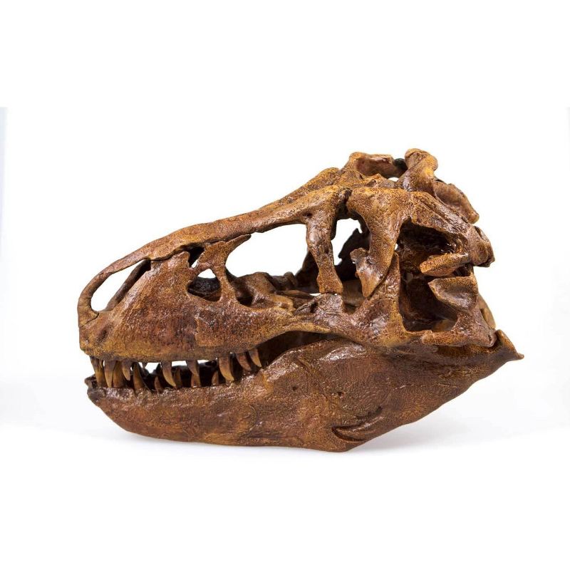 Master Replicas T-Rex Skull Quarter Scale Smithsonian Fossil Replica - 11 Inches