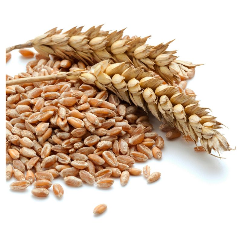 Augason Farms Hard Red Wheat Emergency Food - 26lb Pail