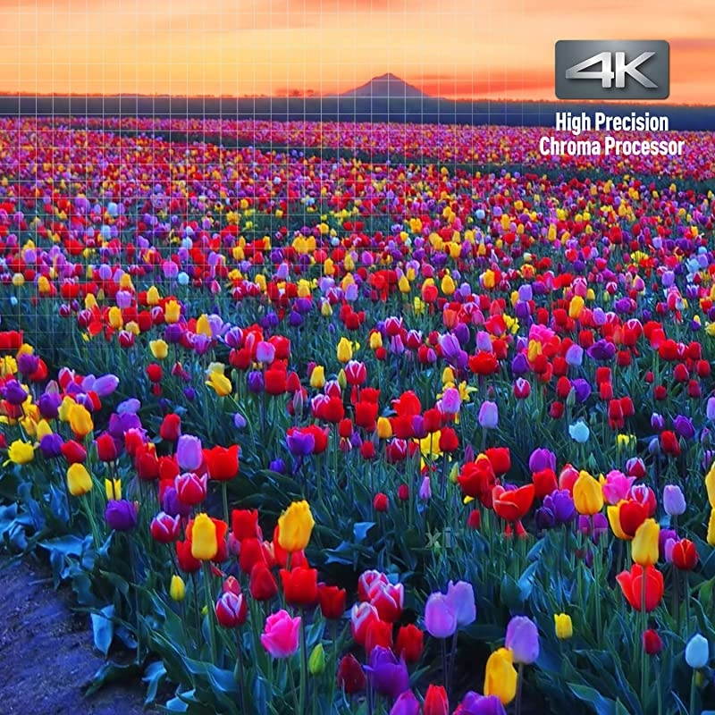 4K Ultra HD Bluray Player with HDR10+ and Dolby Vision Playback HiRes Sound 4K VOD Streaming Black DPUB820