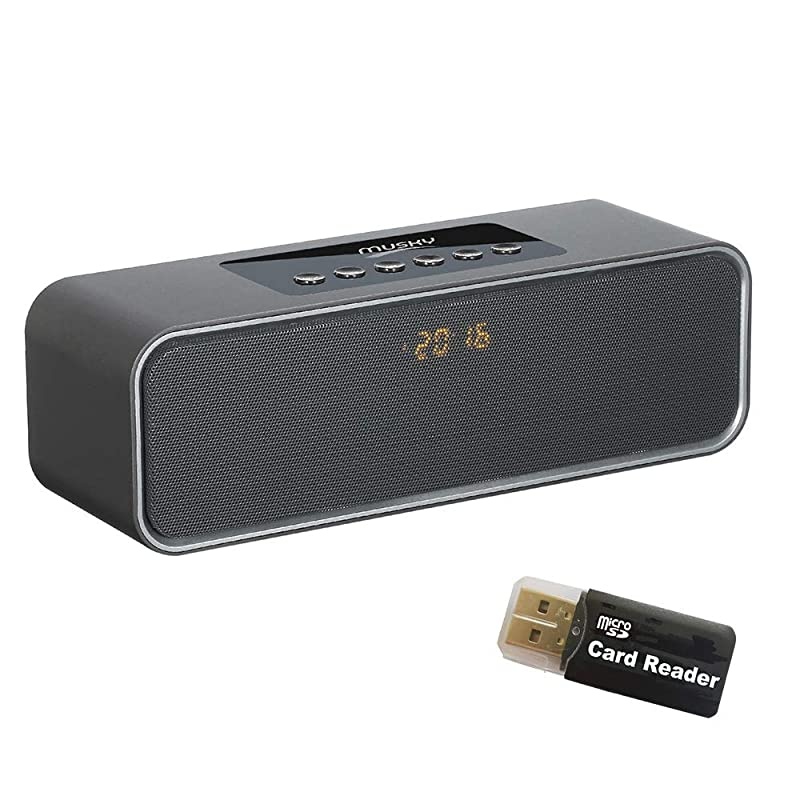 Bluetooth Speaker with10W Acoustic Driver LED Display FM Radio Alarm Clock Handsfree Speakerphone Slots for Micro SD Card USB AUXin for Smart Phone Tablet and More