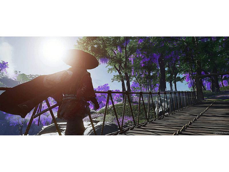 Ghost Of Tsushima Director's Cut - PlayStation 4