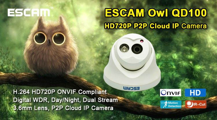 Escam QD100 720P IP Camera Network IR-Cut P2P IR Night Vision Motion Detection Support Onvif Camera